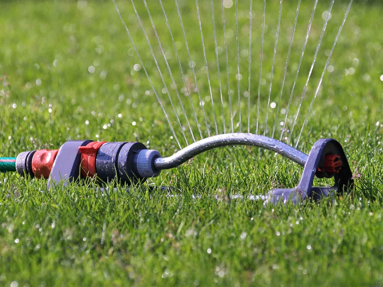 Wassersprinkler - Rasenpflege