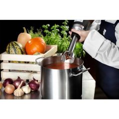 Royal Catering - Stabmixer Gastro 350 w Edelstahl Mixer Mixstab Pürierstab 16.000 u min 250 mm - Dunkelgrau, Grau, Rot, image 