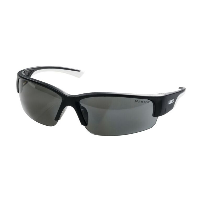 UVEX Komfort-Schutzbrille uvex polavision, Scheibentönung: POLAR, image 